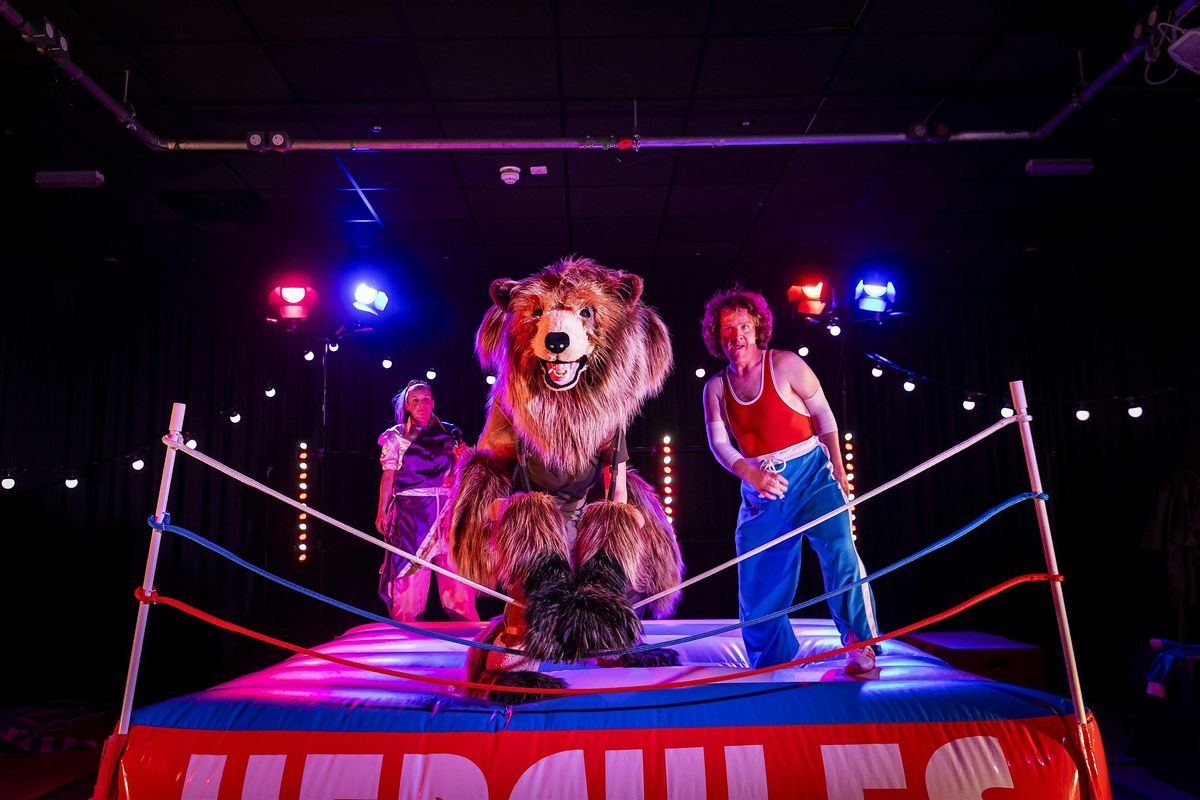 Hercules the Bear - Tenterhooks, 28 October | Event in Auchterarder | AllEvents