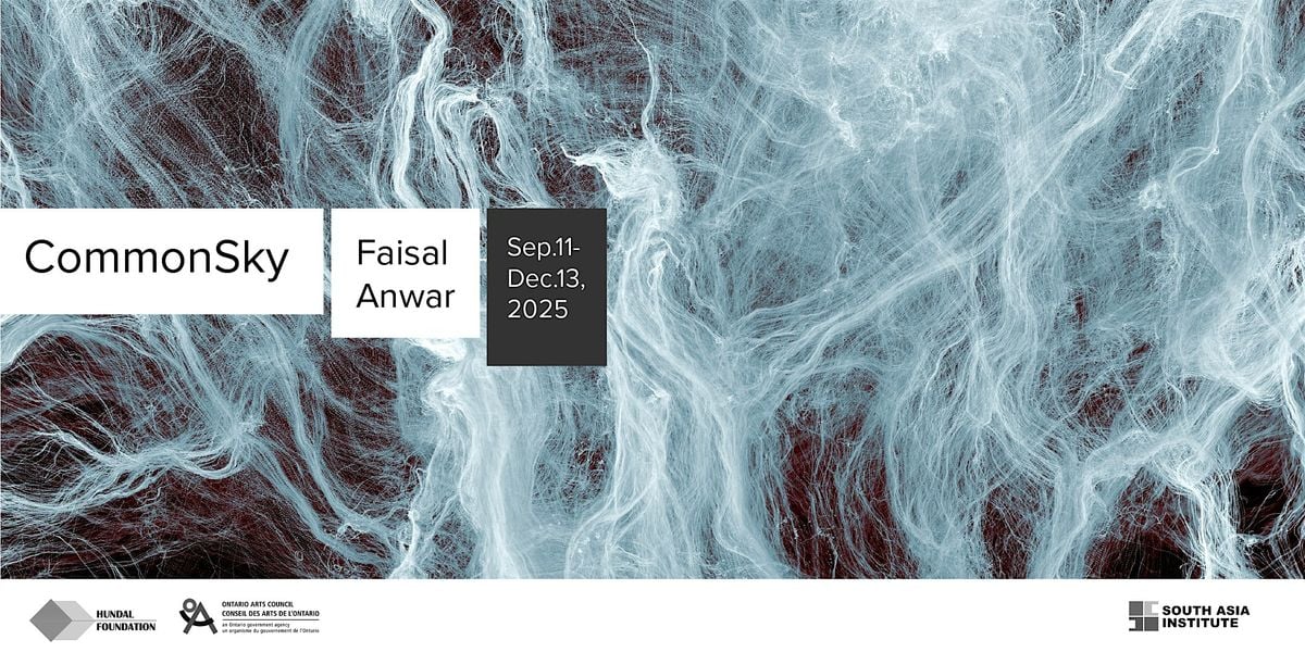 Faisal Anwar: Common Sky, 11 September | Event in Chicago | AllEvents