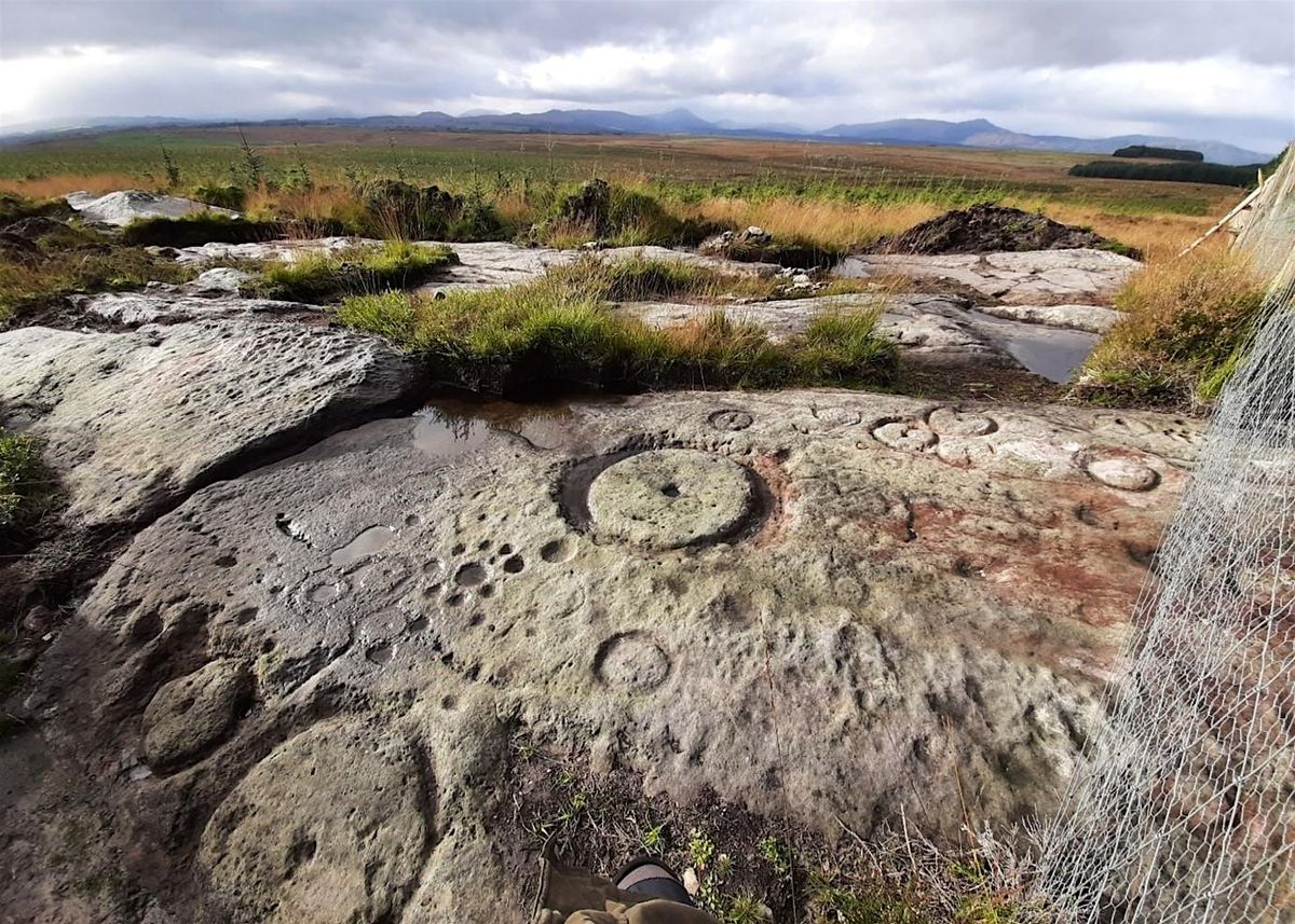 Talk on 'Broughmore Wood rock carvings and their implications', 27 September | Event in Hamilton | AllEvents