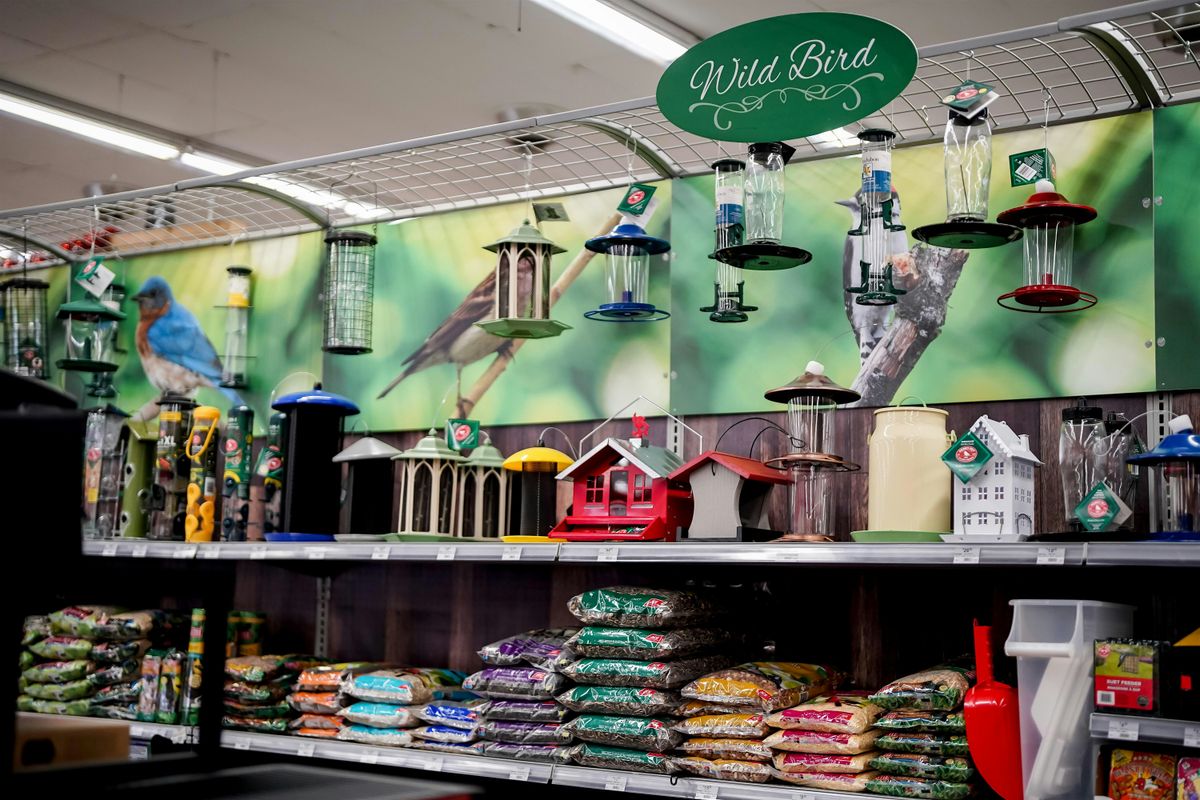 Build a Birdfeeder, 10 May | Event in Amelia | AllEvents
