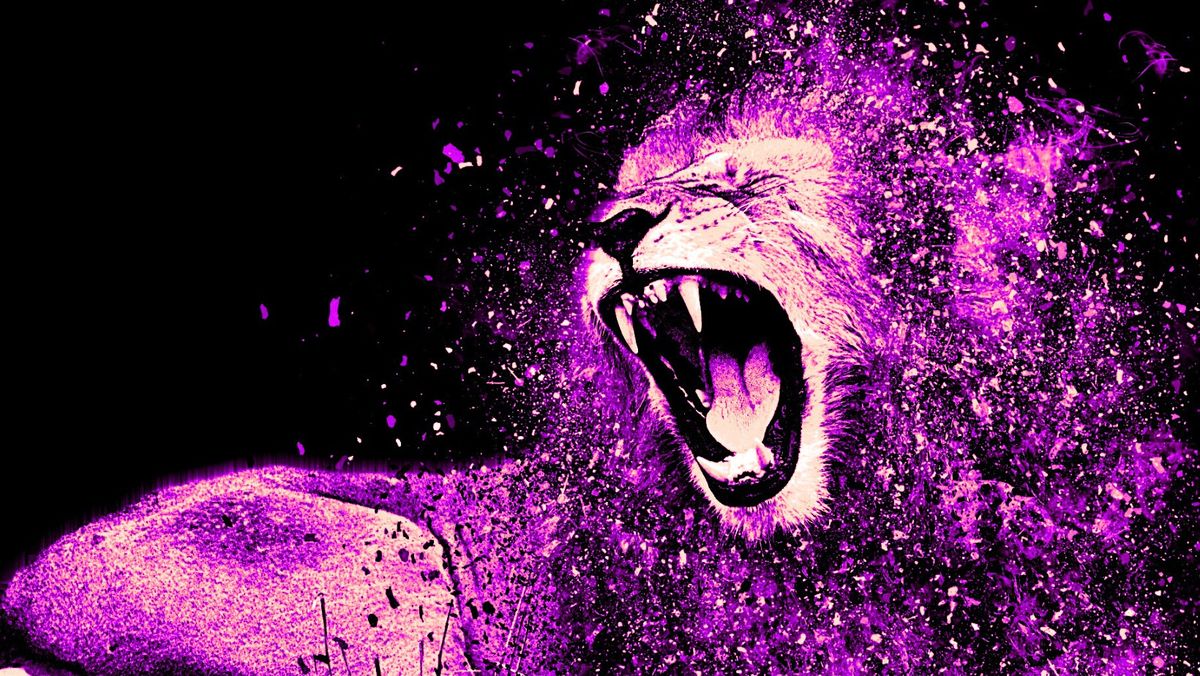 Goddess Flow™: Lion’s Gate, 8 August | Event in Whitby | AllEvents