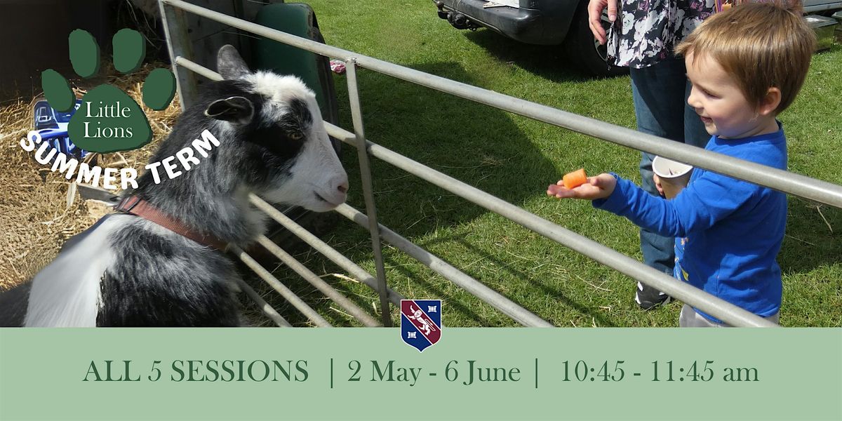 Little Lions - ALL 5 SESSIONS, 2 May | Event in Croydon | AllEvents