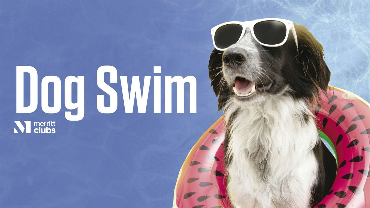 Fall Festival & Dog Swim (Towson), 13 September | Event in Towson | AllEvents