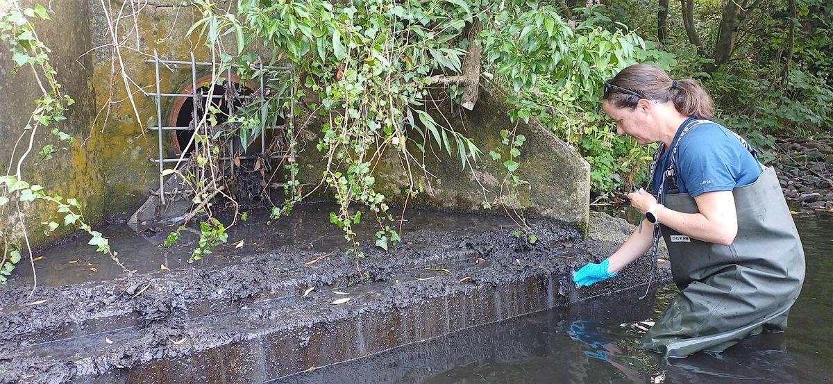 Harrogate Outfall Safari: Results & Update, 26 November | Event in Harrogate | AllEvents