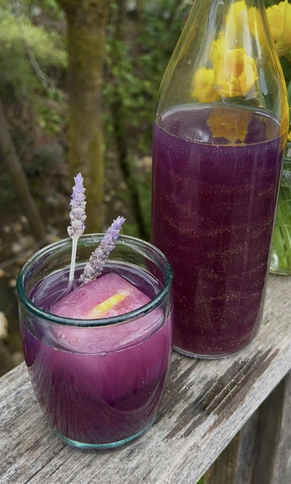 The Medicinal Foodie - Spring Retreat, 31 May | Event in Santa Cruz | AllEvents