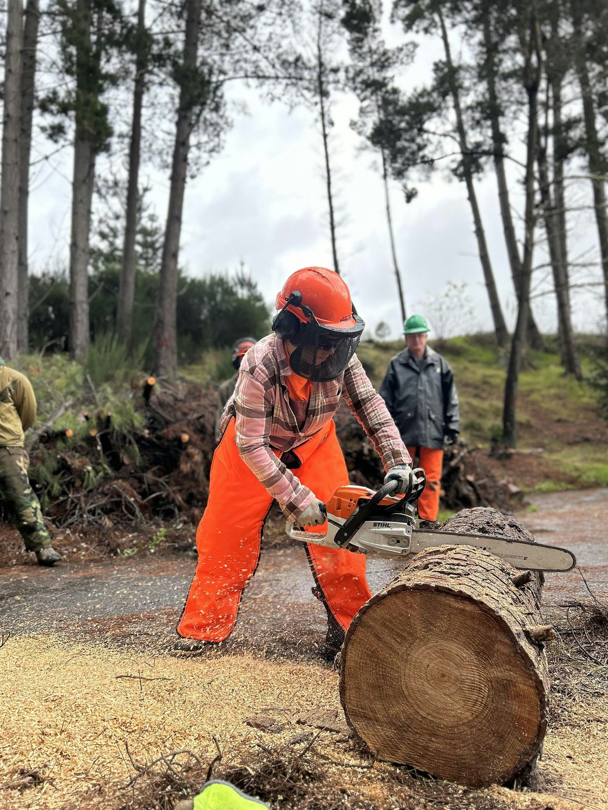 Women’s Chainsaw Class | Event in Eureka | AllEvents