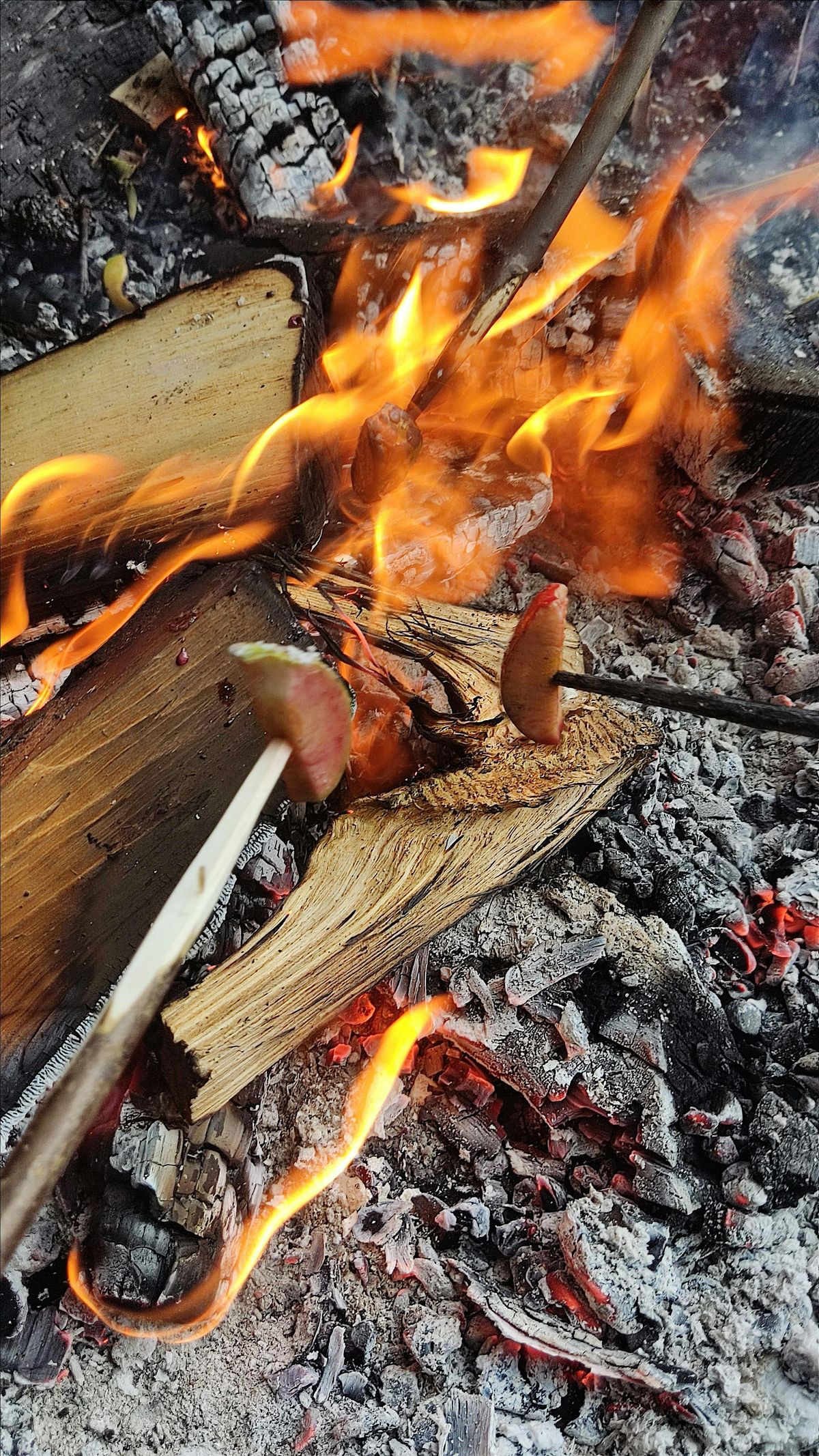 An Introduction to Fire Lighting, 25 October | Event in Sheffield | AllEvents