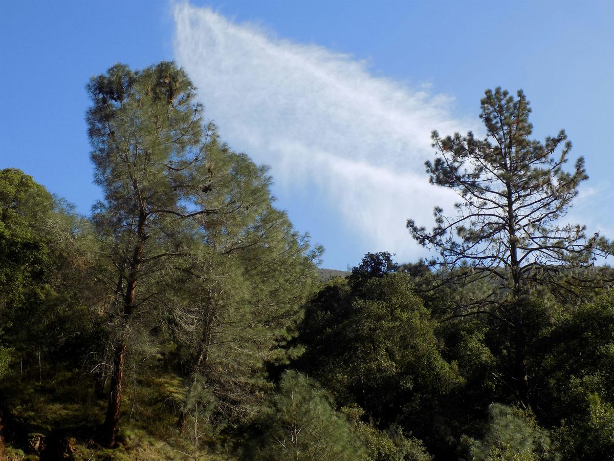 Winter Solstice Saunter, 21 December | Event in Clayton | AllEvents