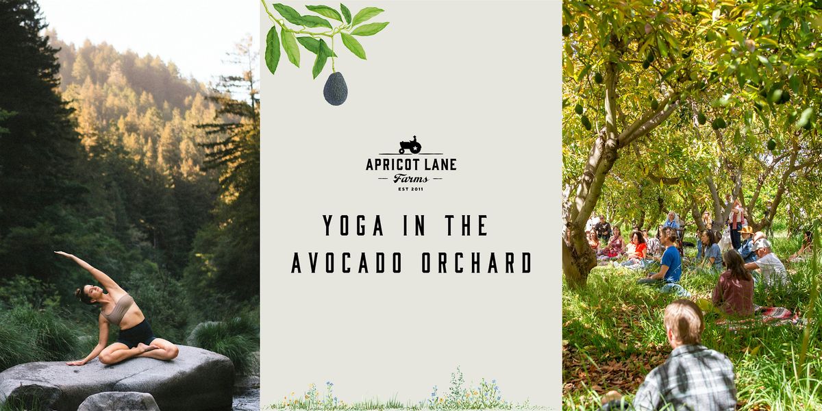 Yoga in the Avocado Orchard, 31 May | Event in Moorpark | AllEvents