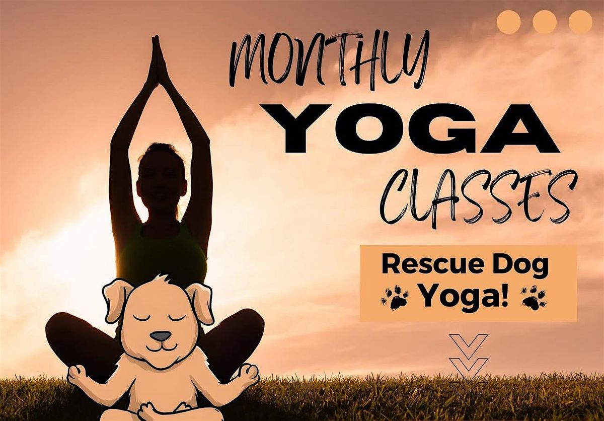 Rescue Dog Yoga at The Laundromutt (EUGENE), 23 August | Event in Eugene | AllEvents