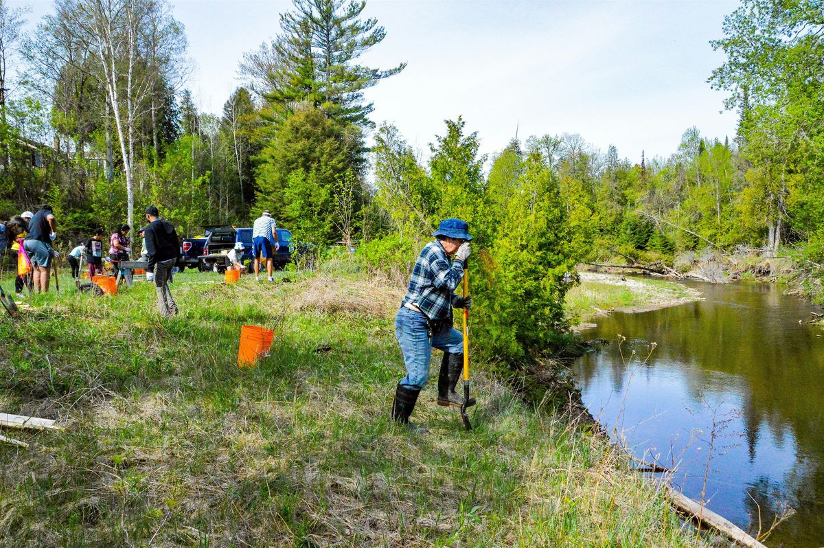 Plant Trees with NVCA in Mono, 24 May | Event in Orangeville | AllEvents