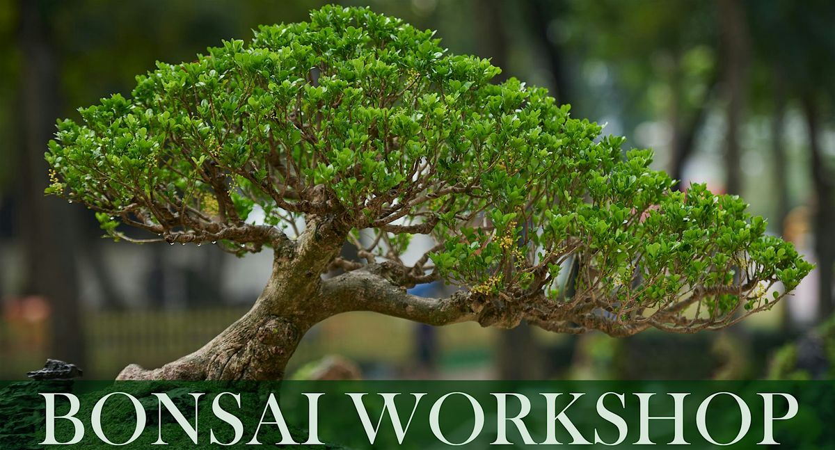 Bonsai Workshop, 4 September | Event in Chicago | AllEvents