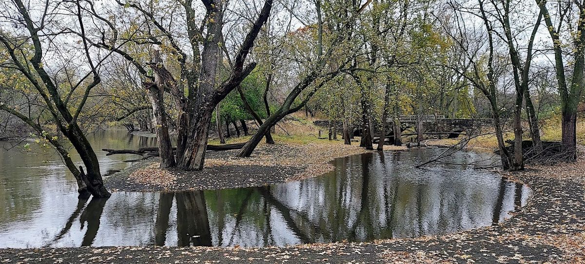 Trailblazers: Schiller Woods Spring Exploration Walk | Event in Chicago | AllEvents
