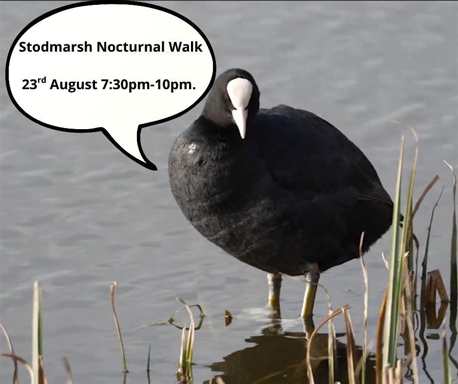 Stodmarsh Nocturnal Walk, 23 August | Event in Stodmarsh | AllEvents