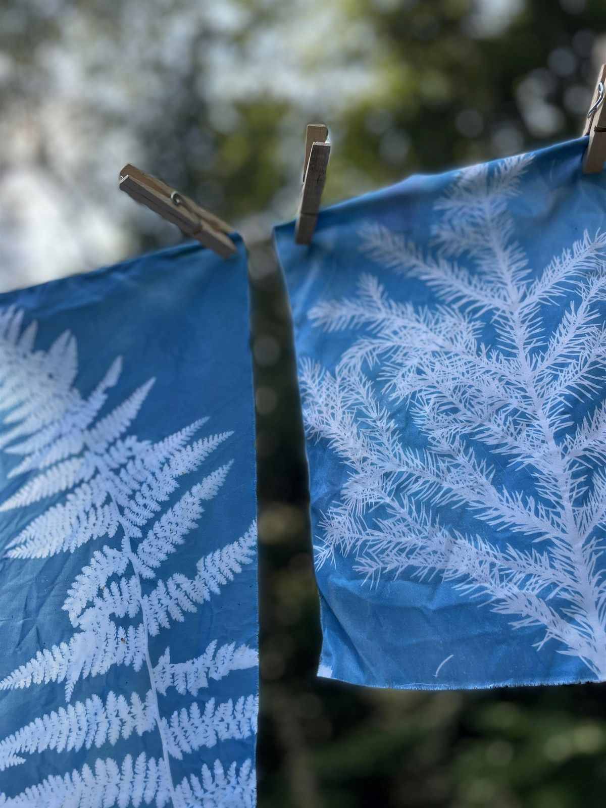Botanical Cyanotype with Katama Murray, 6 August | Event in Lee | AllEvents
