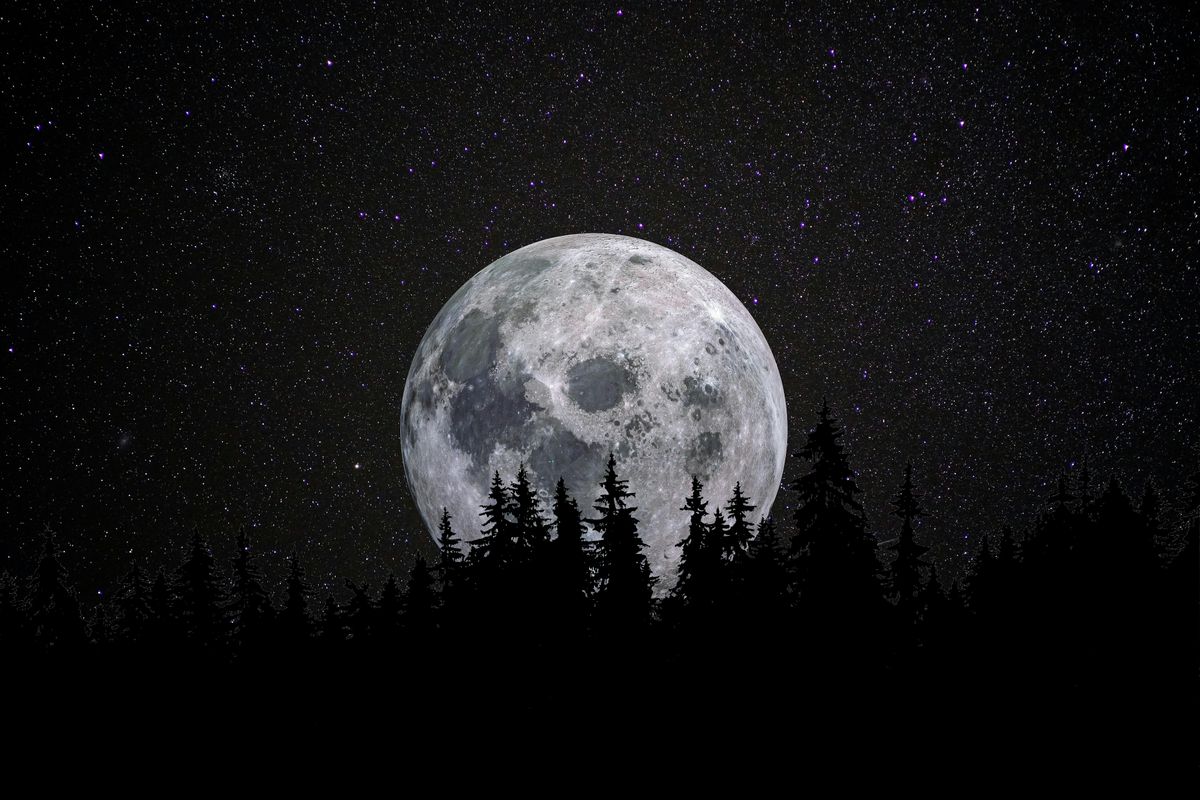 Thirteen Moons of Witchery: The Horned God of the Witches, 20 October | Event in Chicago | AllEvents