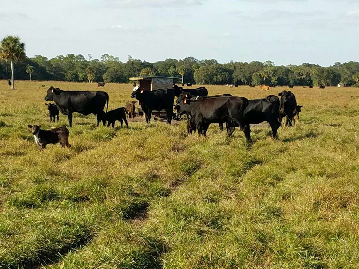 Alvin C Warnick Reproductive Management School, 5 November | Event in Sidell | AllEvents