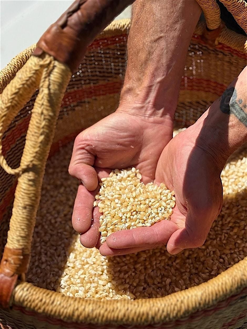 Teravana Agroforestry - Summer Series, 24 August | Event in Cazadero | AllEvents