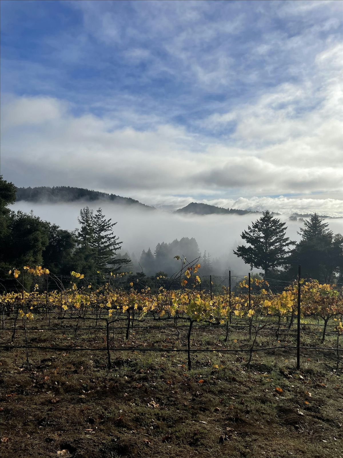 Wine, Charcuterie, & Crushpad Concert at Roberts Ranch with Live Music, 18 October | Event in Ben Lomond