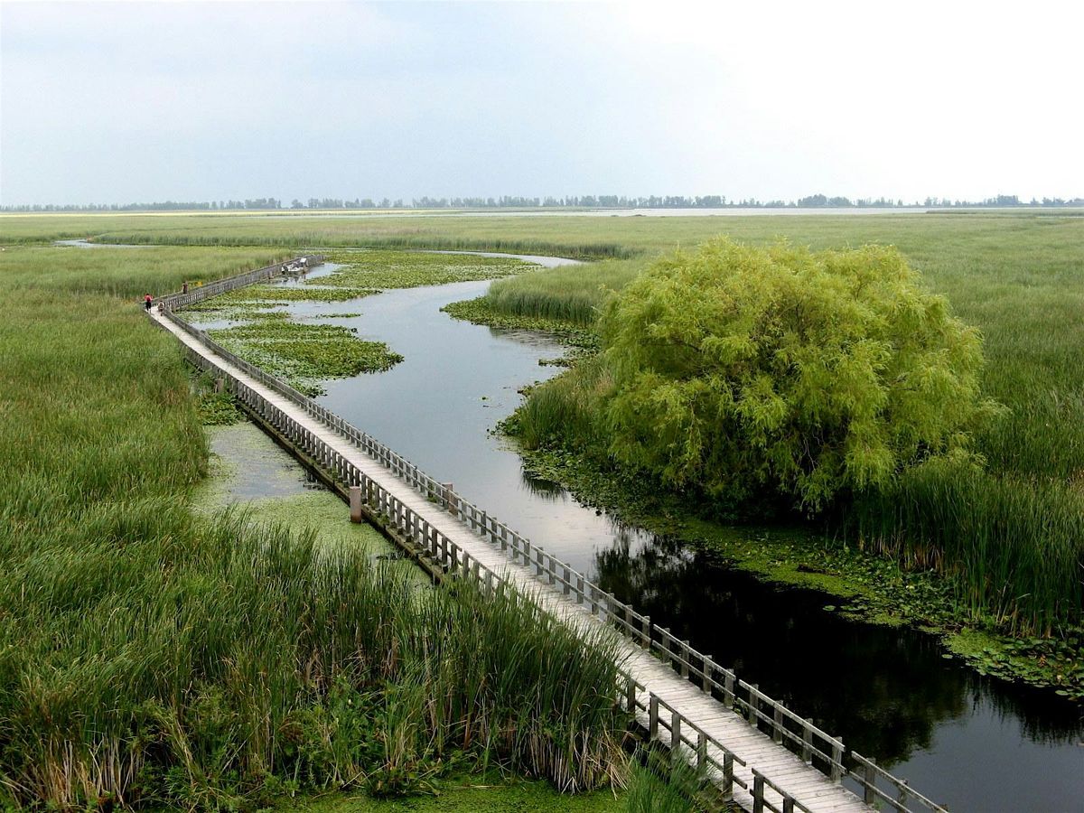 Point Pelee National Park - Fall Migration, 30 August | Event in Leamington | AllEvents
