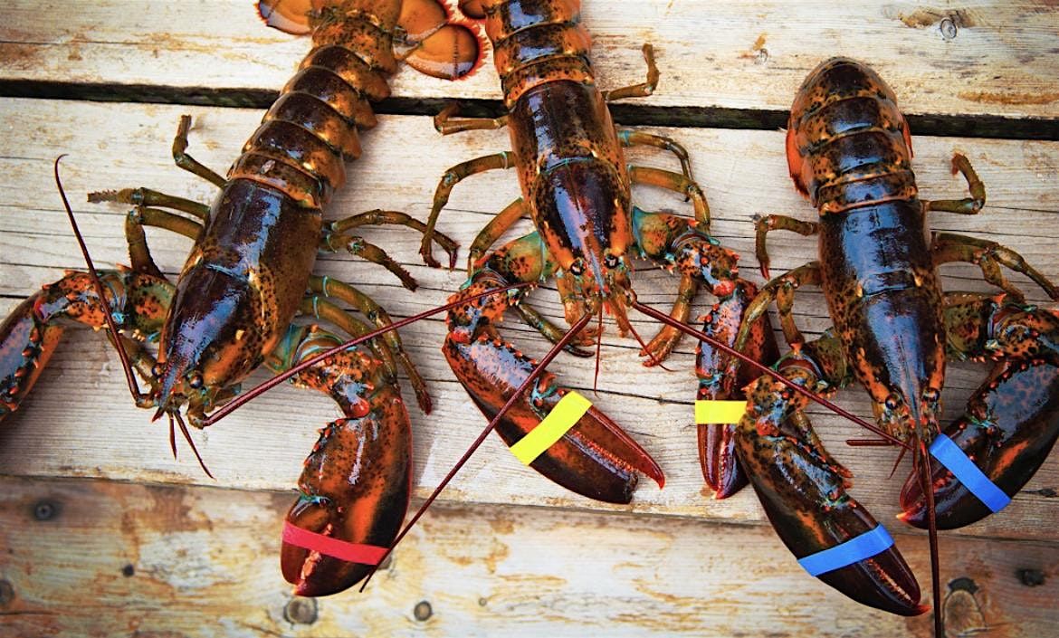 Lobsterfest - "Claws for a Cause", 13 September | Event in Coplin | AllEvents