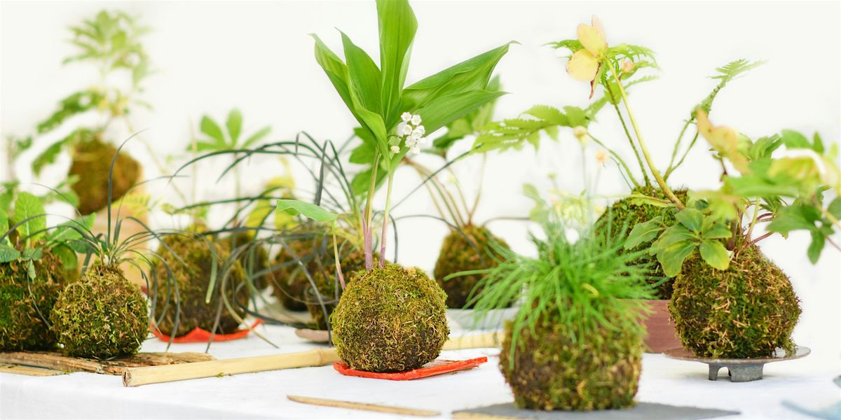 Deluxe Kokedama Workshop, 26 September | Event in Raleigh | AllEvents