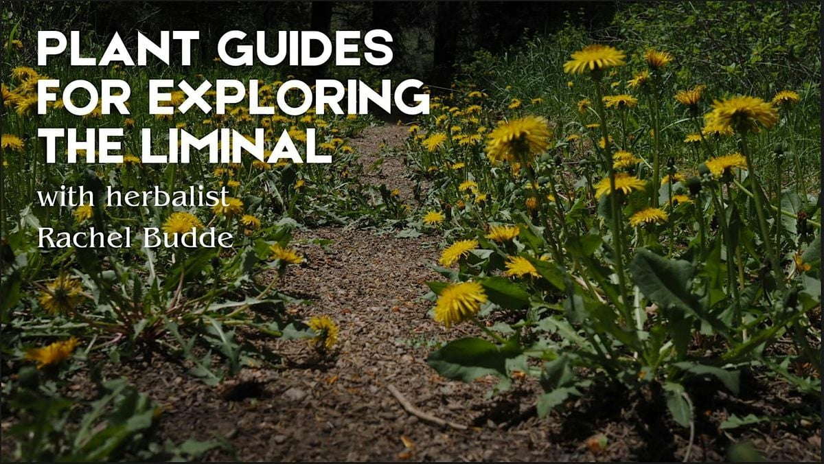 Plant Guides for Exploring the Liminal with Rachel Budde, 2 November | Event in Berkeley | AllEvents