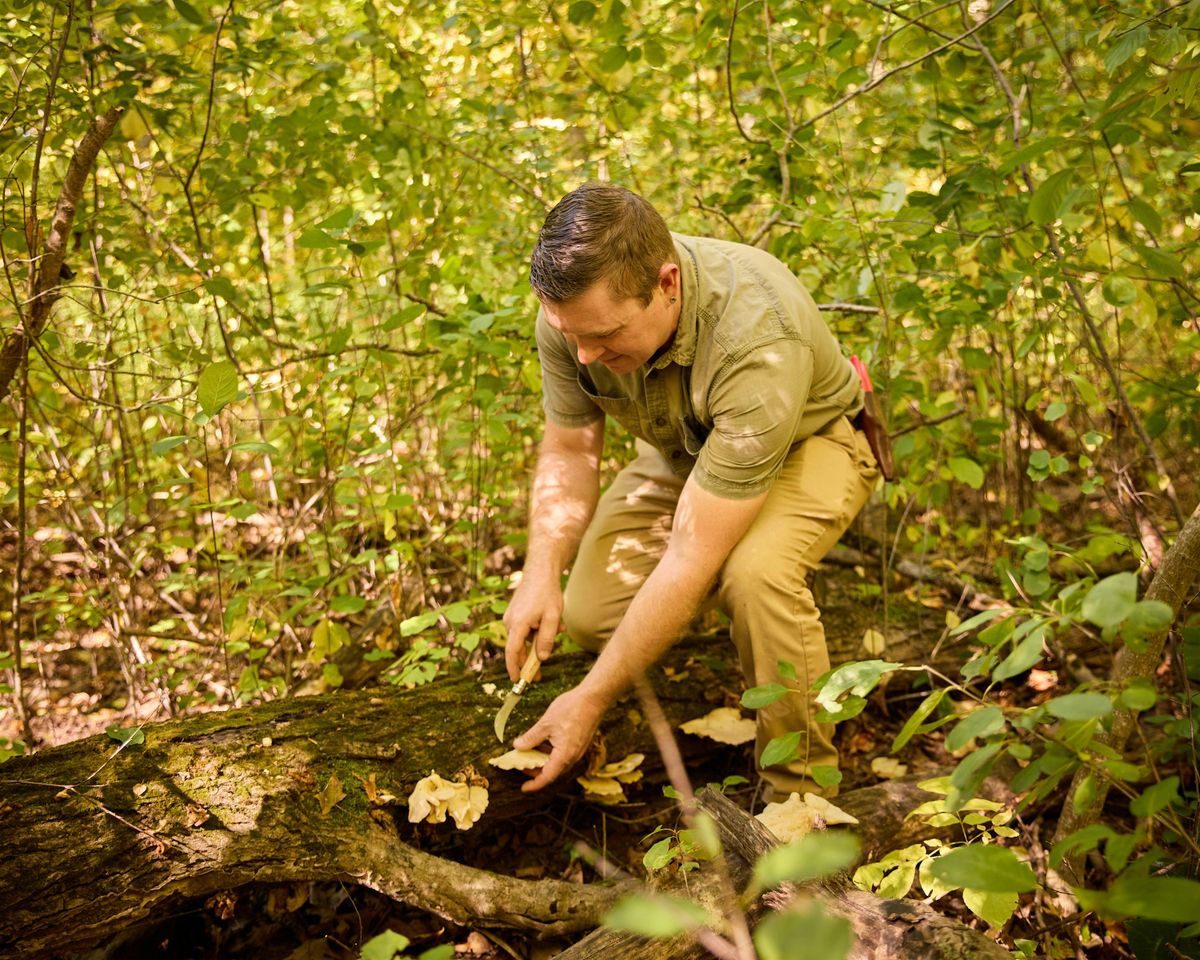 Mushroom Foraging at Langdon Hall, 18 October | Event in Cambridge | AllEvents