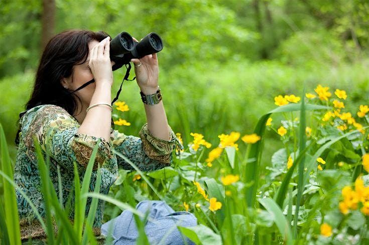 Springtime Symphony:  Naturalist-led birdwatching hike., 9 May | Event in Oglesby | AllEvents