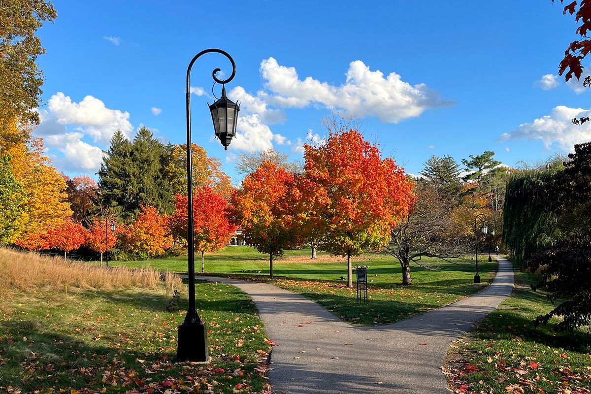 Parking The Music Man - Worcester, 16 May | Event in Worcester | AllEvents