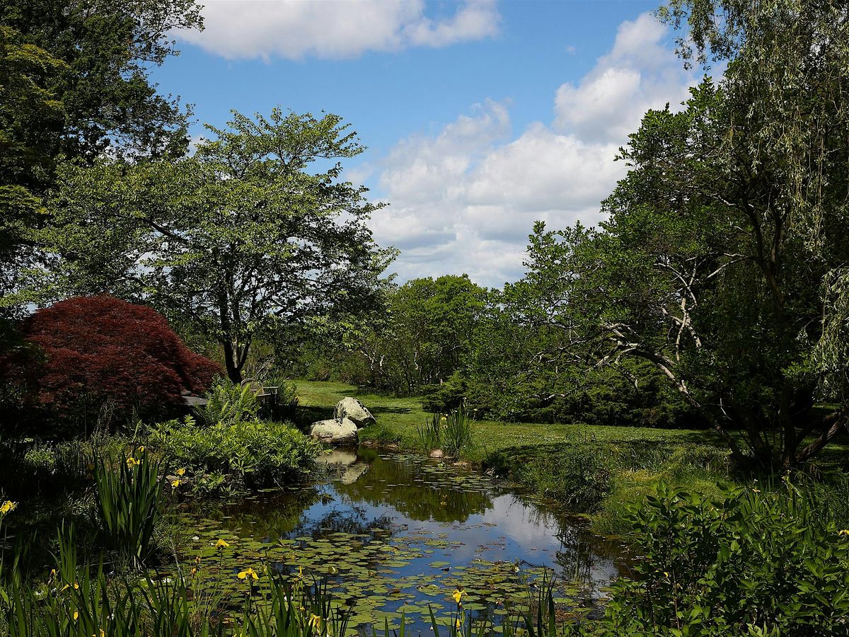 Intermediate Photography in the field, 12 July | Event in Bristol | AllEvents
