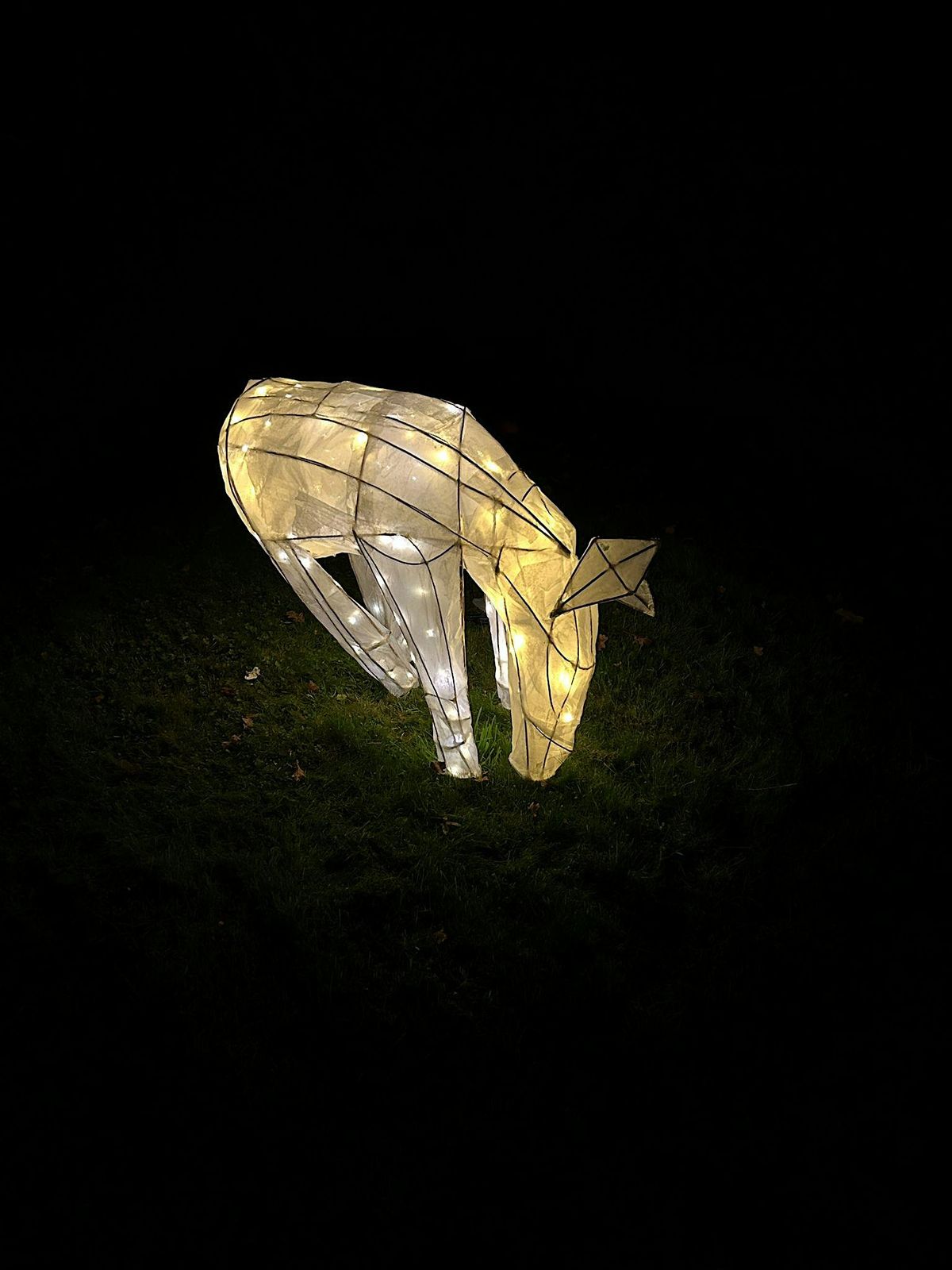 Willow Lantern Making, 6 November | Event in Winchester | AllEvents