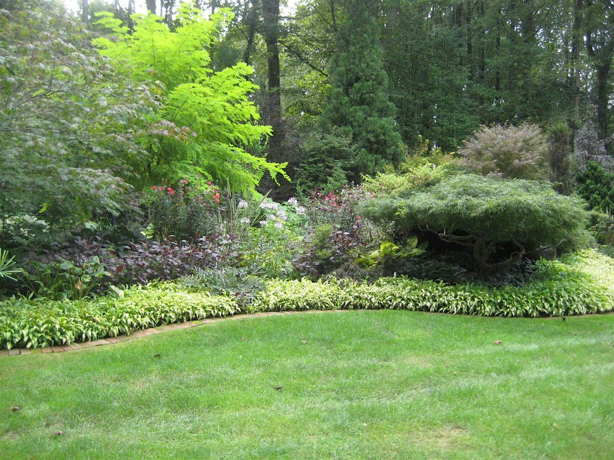 Learn to Grow: Gardening in the Mountains Part 2 Landscape Design, 26 March | Event in Waynesville | AllEvents