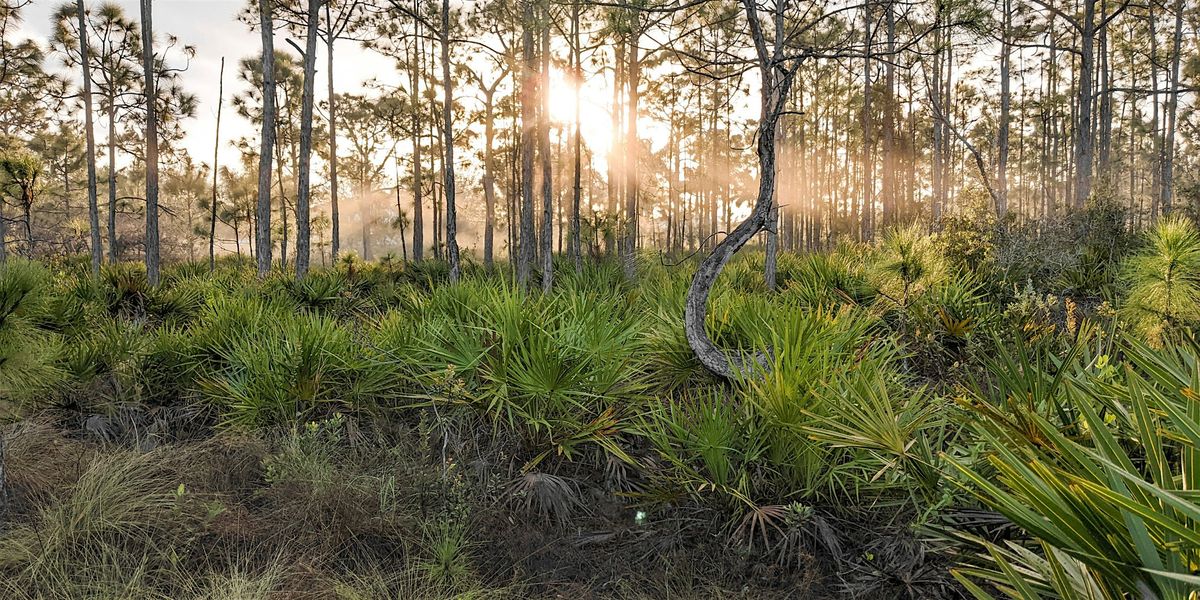 Bioblitz, 8 December | Event in Naples | AllEvents