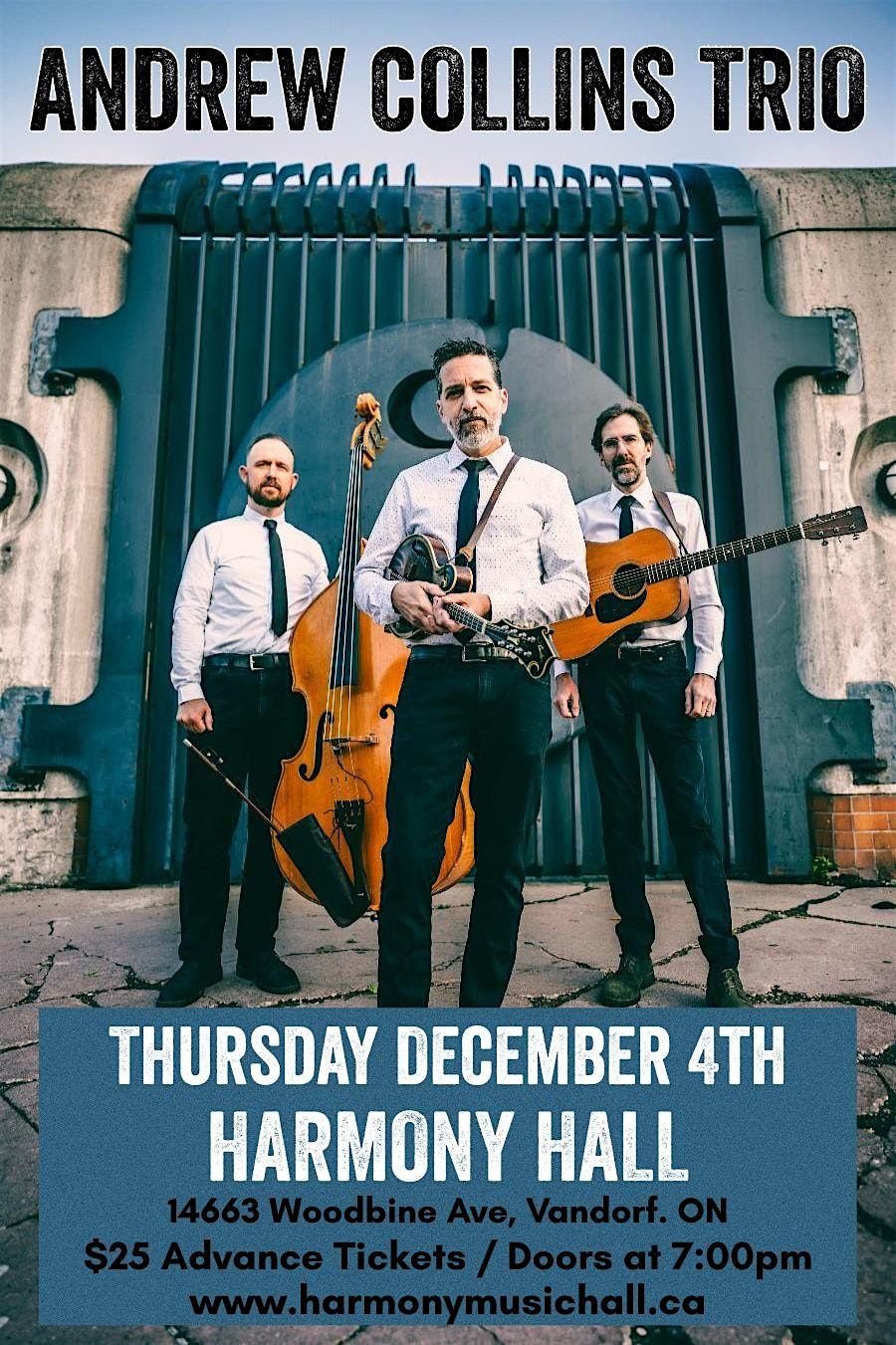 ANDREW COLLINS TRIO at Harmony Hall- Thursday Dec 4th, 4 December | Event in Gormley | AllEvents