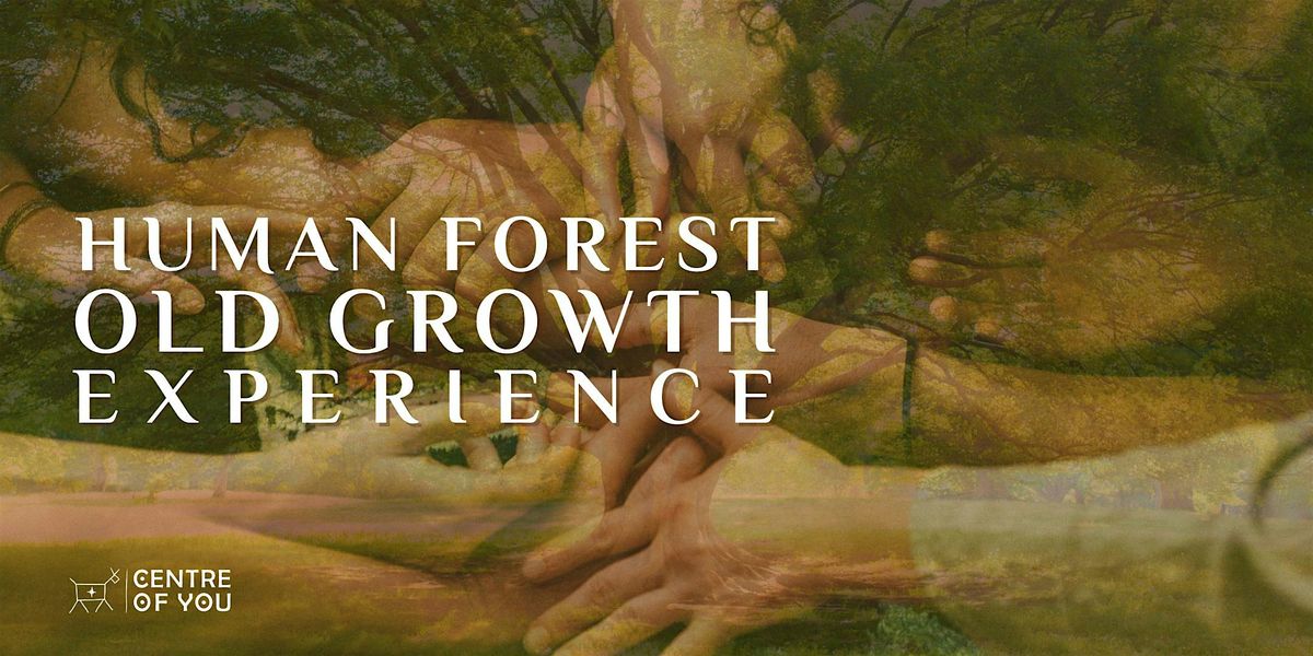 Human Forest: Old Growth | A Gift of Deeper Connection.
