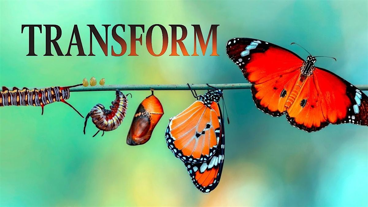 Transform: From Surviving to Thriving, 2 August | Event in Potsdam | AllEvents