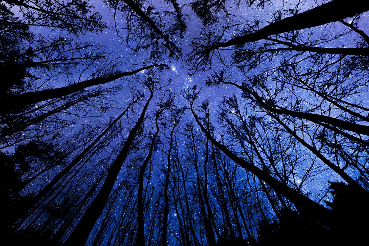 The Universe Is Speaking—Are You Listening?, 28 September | Event in Pasadena | AllEvents