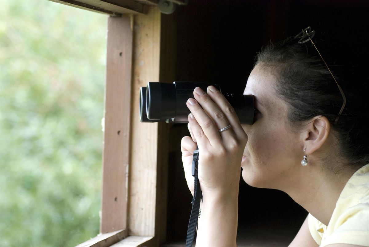 Birdwatching for Beginners, 10 January | Event in Berkhamsted | AllEvents