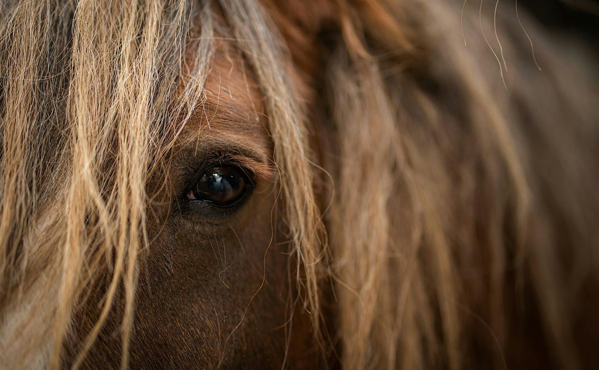 R.I.S.E. and Shine, 14 December | Event in Woking | AllEvents