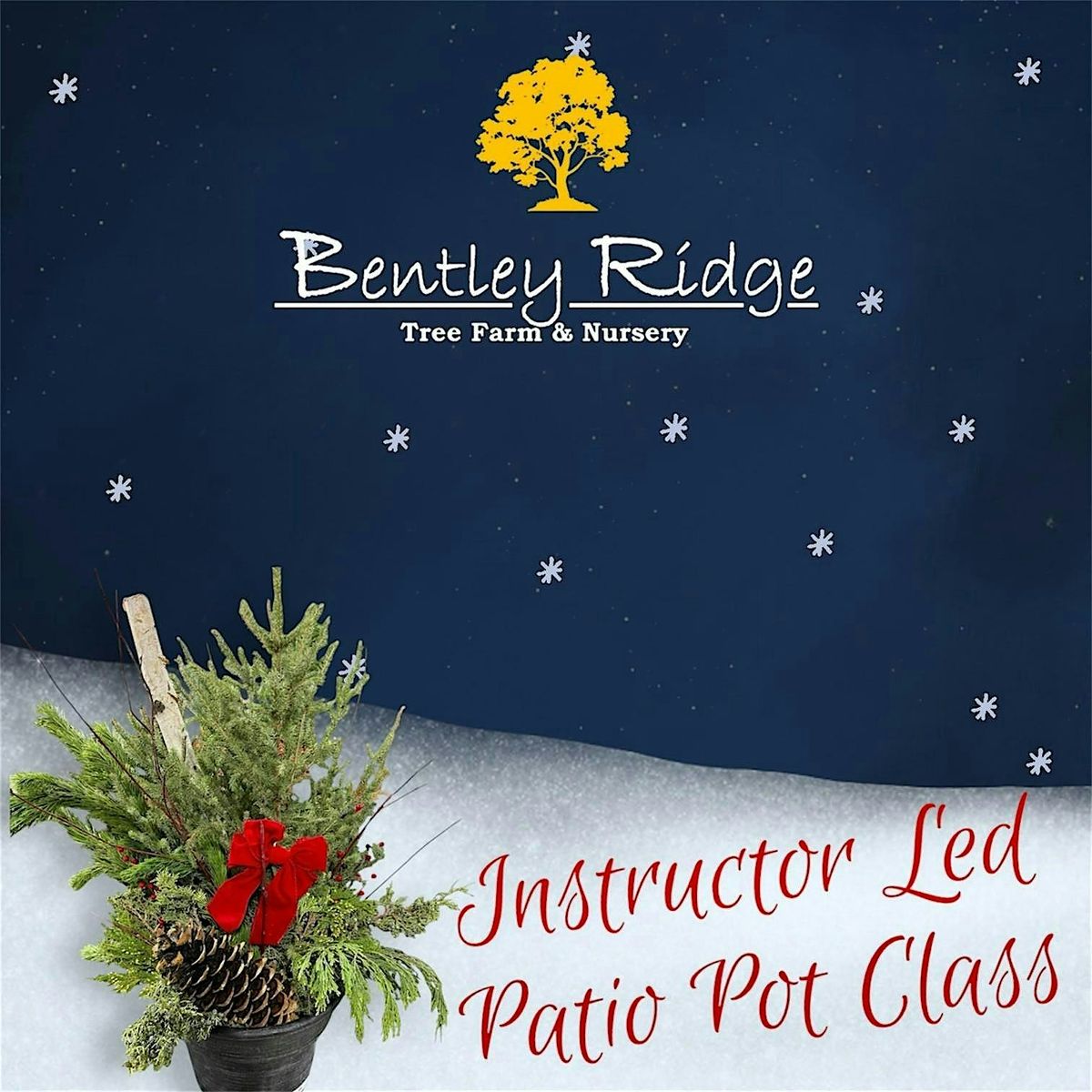 Instructor Led Christmas Patio Pot 2 - 2025, 7 December | Event in Grimes | AllEvents