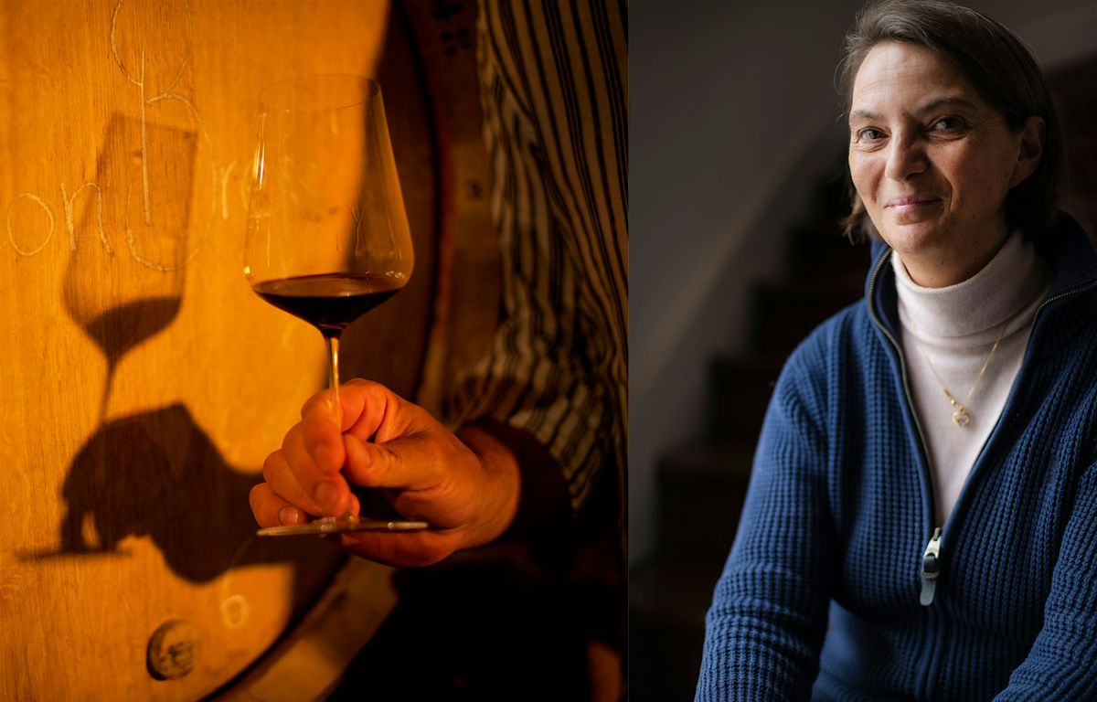 Meet the winemaker – Claude de Nicolay of Domaine Chandon de Briailles, 22 October | Event in Brighton and Hove