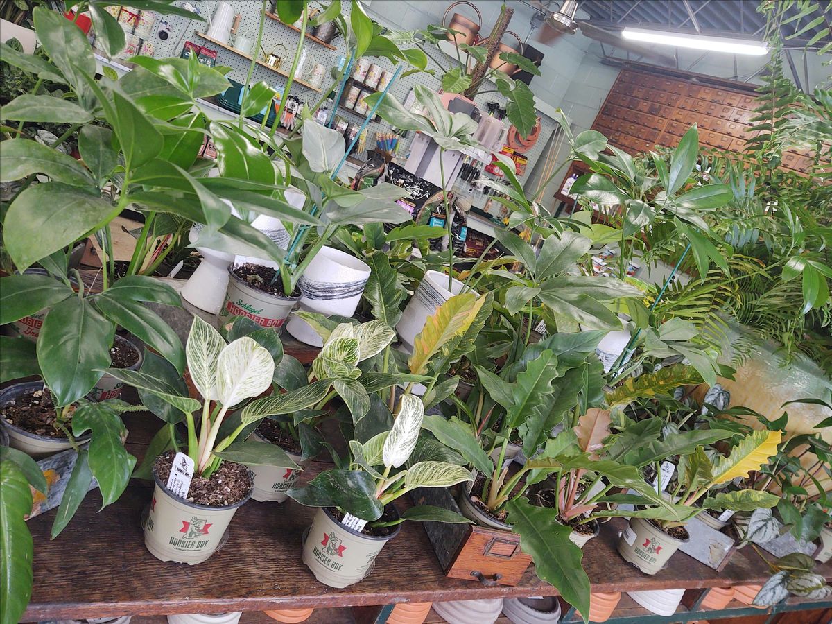 Ladies Only Plant Club, 4 September | Event in Indianapolis | AllEvents