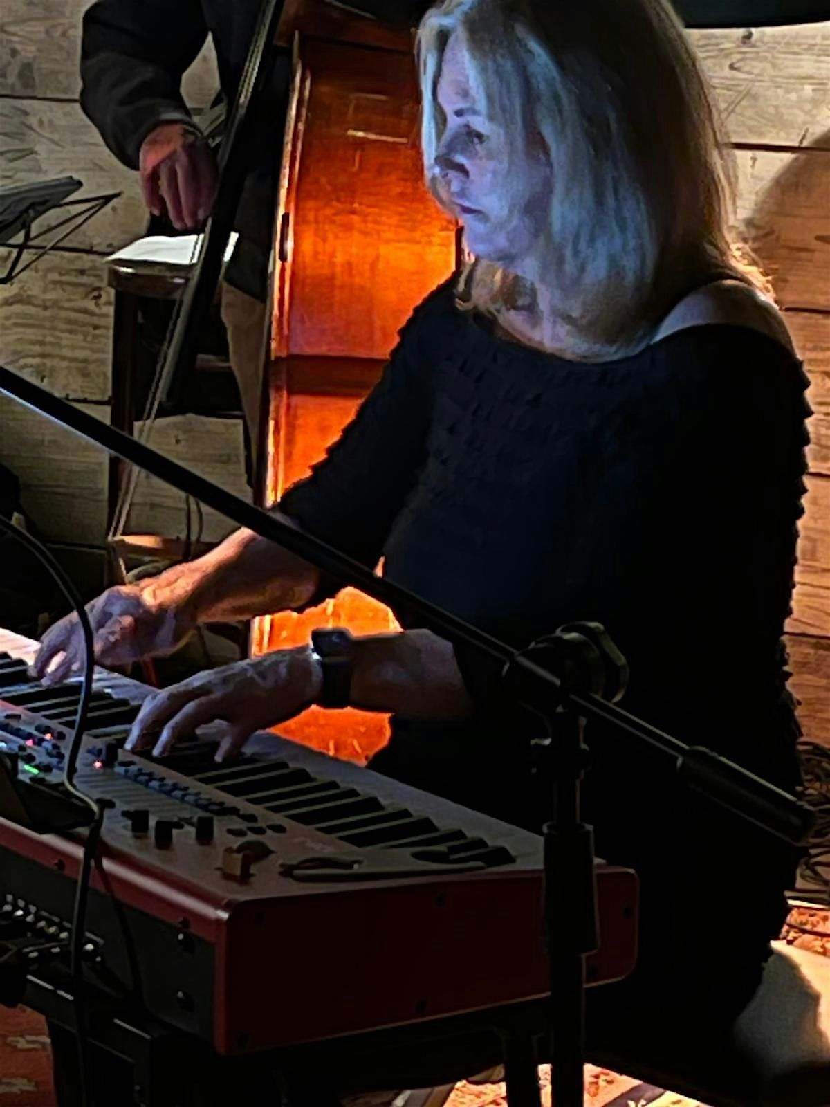 Barbara Bergin Jazz Trio, 1 November | Event in Bruton | AllEvents