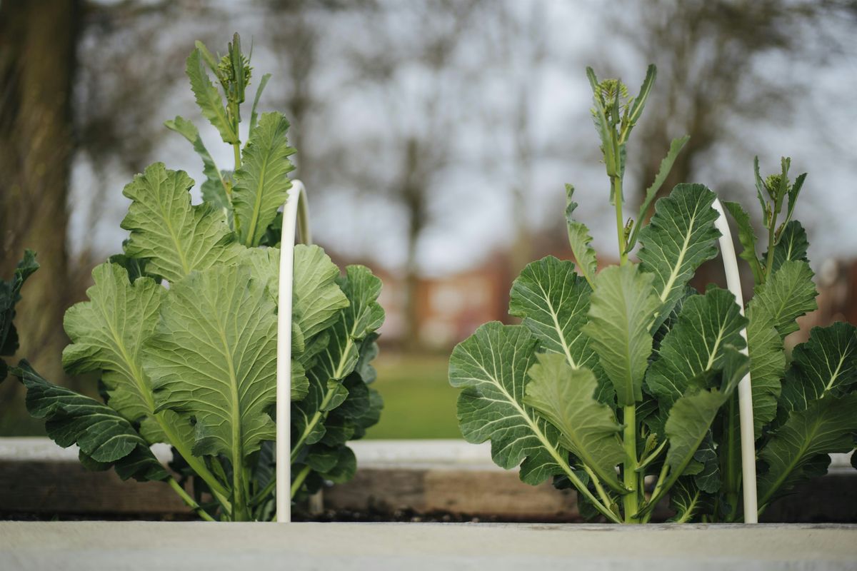 Growing Community: First Fruits of Fall, 11 October | Event in Washington | AllEvents