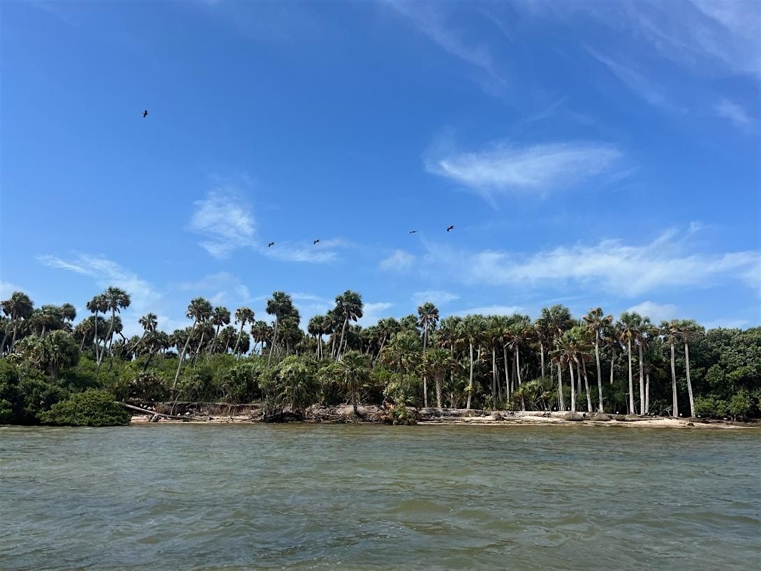 Prioritization Workshop: Big Bend Seagrasses Aquatic Preserve, 9 December | Event in Steinhatchee | AllEvents