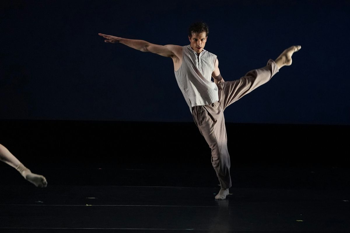 Master Class with Ballet Master Patric Palkens, 11 January | Event in Falls Church | AllEvents