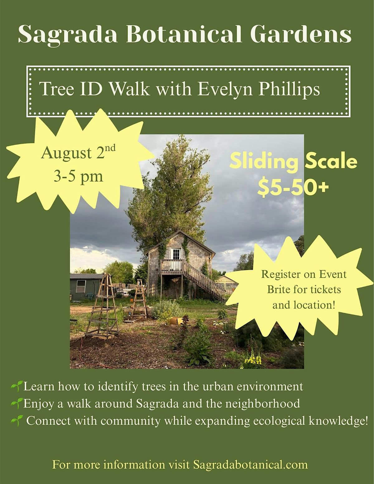 Tree ID Walk with Evelyn Phillips, 2 August | Event in Fort Collins | AllEvents