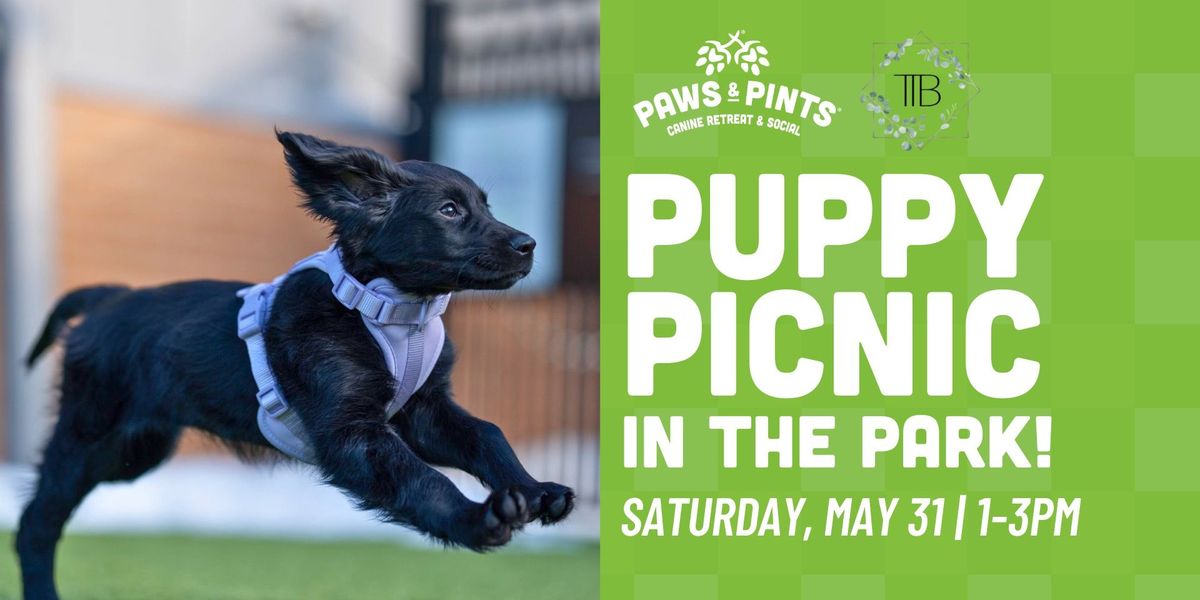 Parking PUP, 30 November | Event in Calgary | AllEvents