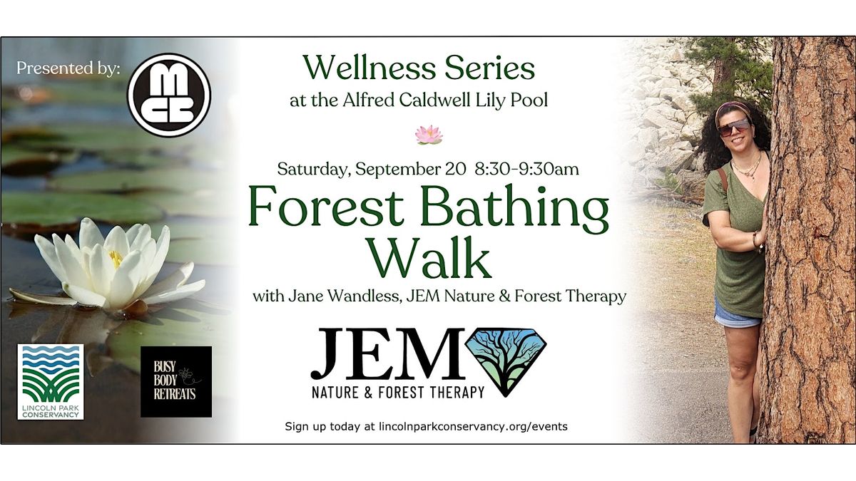 Forest Bathing Walk in the Lily Pool with JEM Nature & Forest Therapy, 20 September | Event in Chicago